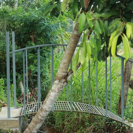 Ayurnest Pool Resort Wayanad Batheri ภายนอก รูปภาพ