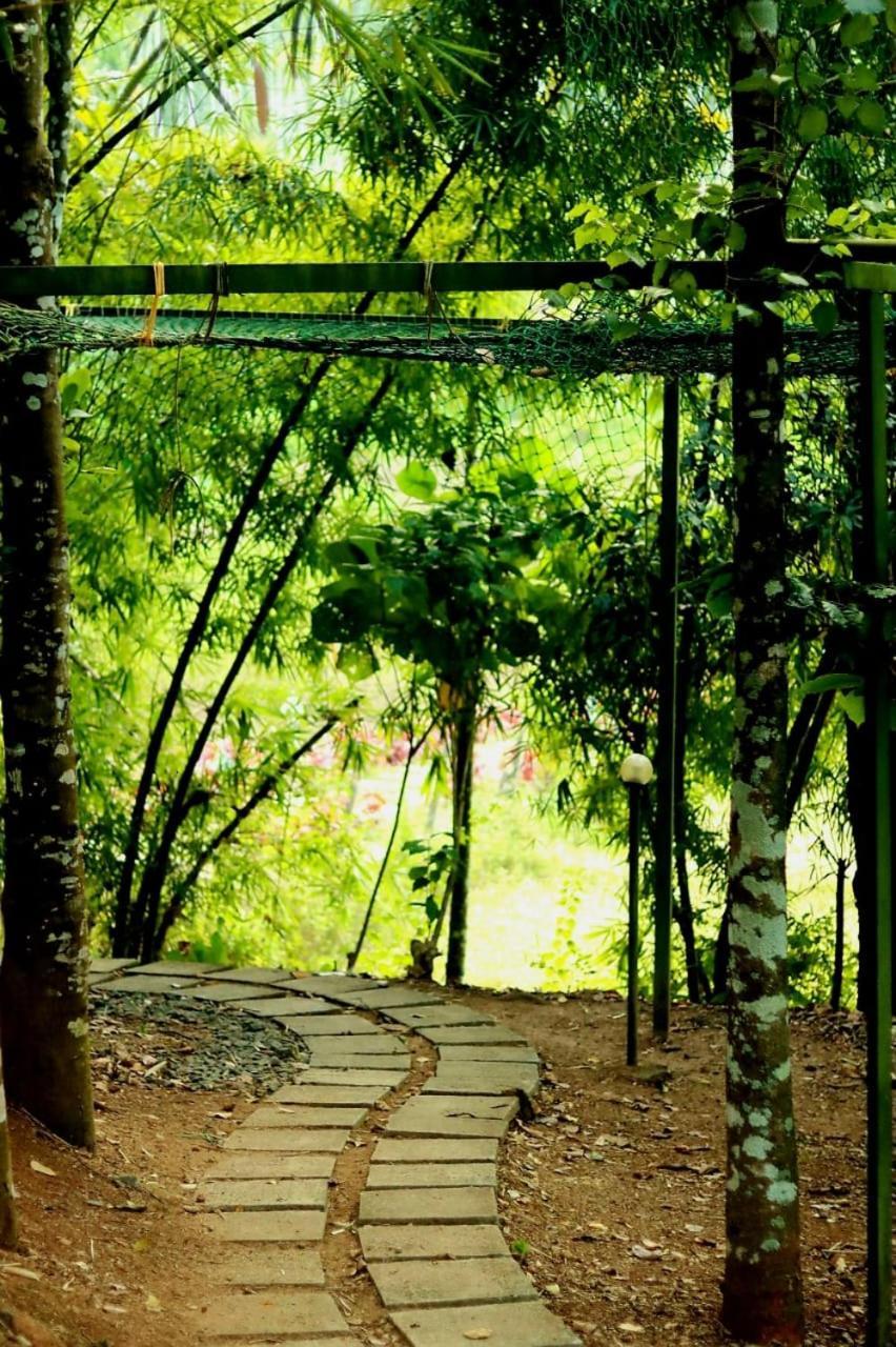 Ayurnest Pool Resort Wayanad Batheri ภายนอก รูปภาพ